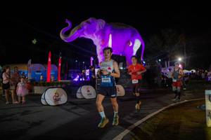 BIB: 
                            <button type="button" onclick="openModal(26552211)" class="btn btn-primary btn-sm float-right btn-popup" data-toggle="modal" data-target=".modal-high-quality">
                        <i class="fas fa-shopping-cart"></i> Add to Cart
                    </button>
                                            <button type="button" onclick="isThisMe(26552211, true)" class="btn btn-success btn-sm float-right btn-popup btn-isme hidden" data-toggle="tooltip" data-placement="bottom" title="นี่คือรูปของคุณใช่ไหม คลิกที่นี่เพื่อเอาเข้าอัลบั้ม">
                        <i class="fas fa-plus"></i> Add to album
                    </button>
                    <button type="button" onclick="isThisMe(26552211, false)" class="btn btn-warning btn-sm float-right btn-popup btn-isnotme hidden">
                        <i class="fas fa-ban"></i> Remove from album
                    </button>